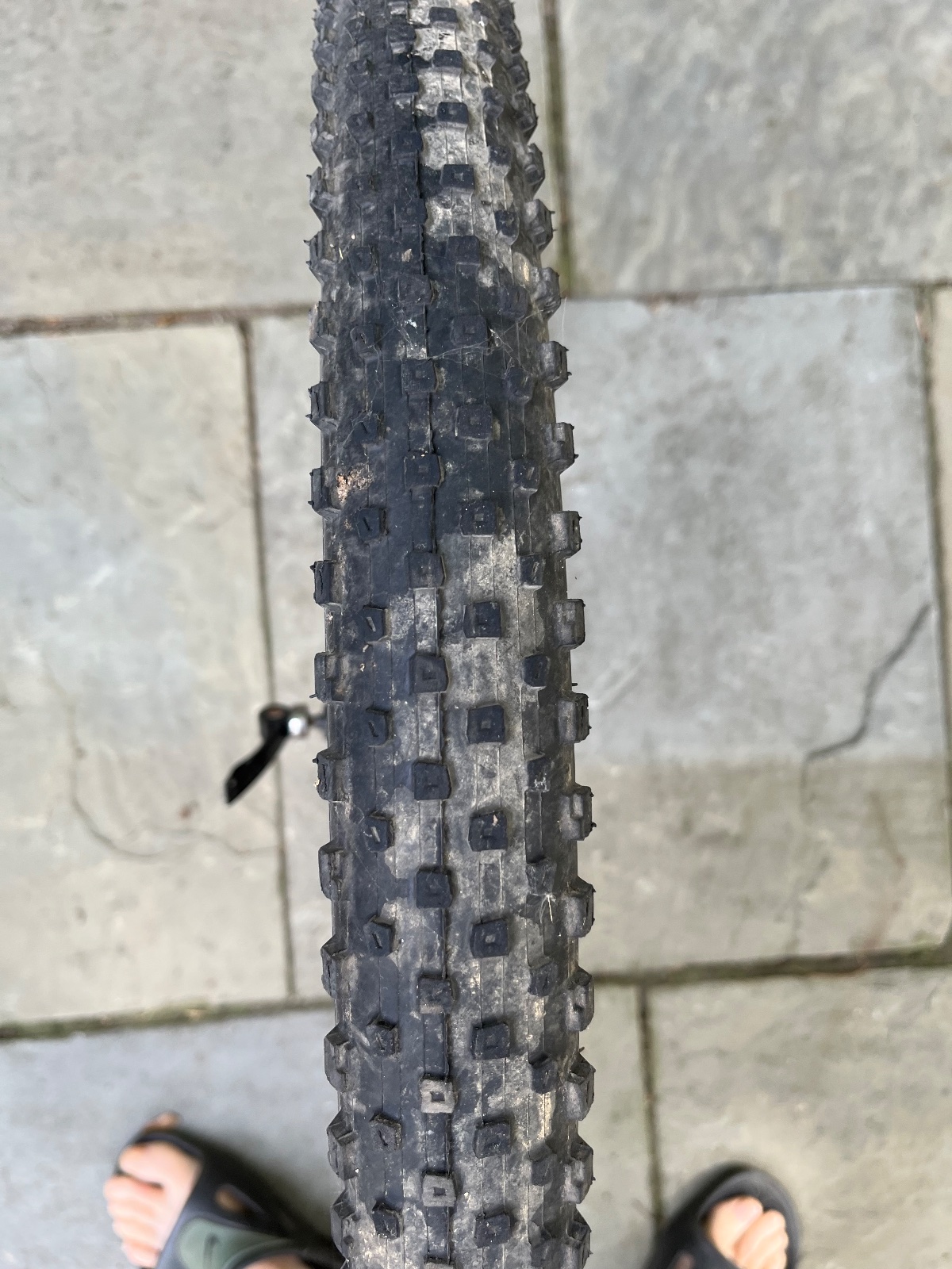 Trek Marlin front wheel and disc brake photo 2